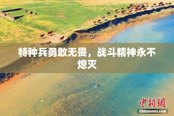 特种兵勇敢无畏，战斗精神永不熄灭