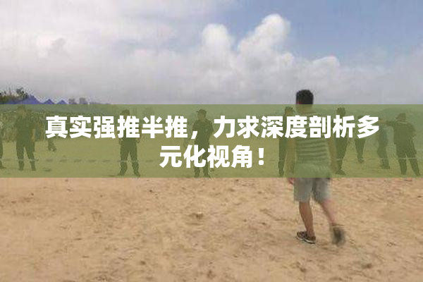 真实强推半推，力求深度剖析多元化视角！