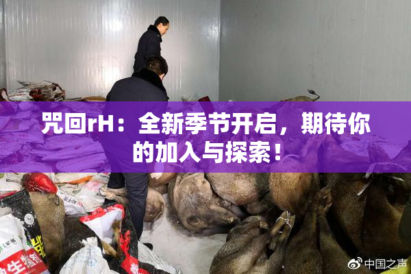 咒回rH：全新季节开启，期待你的加入与探索！
