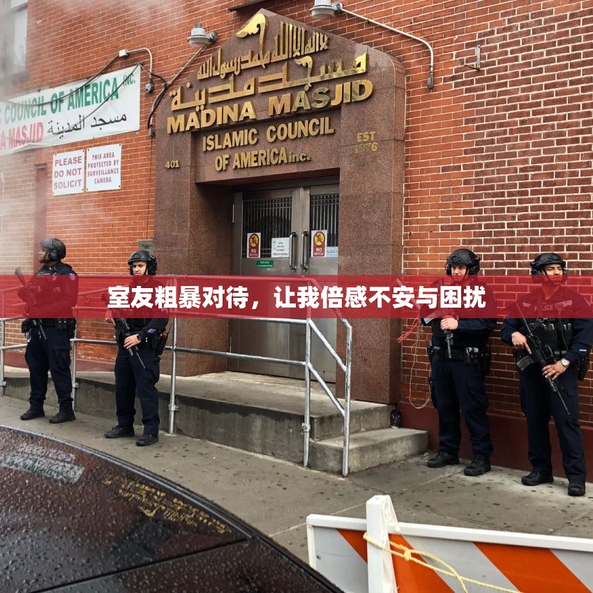 室友粗暴对待，让我倍感不安与困扰