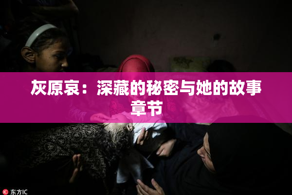 灰原哀：深藏的秘密与她的故事章节