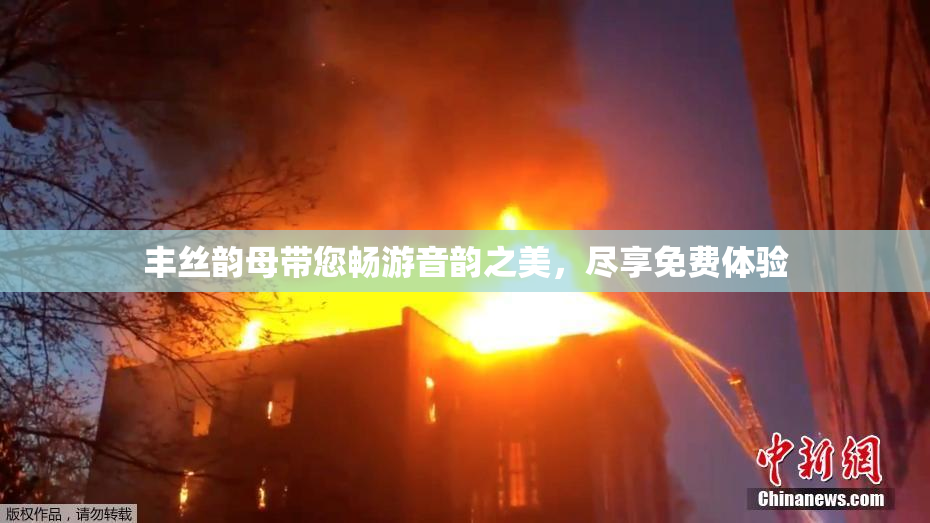 丰丝韵母带您畅游音韵之美，尽享免费体验