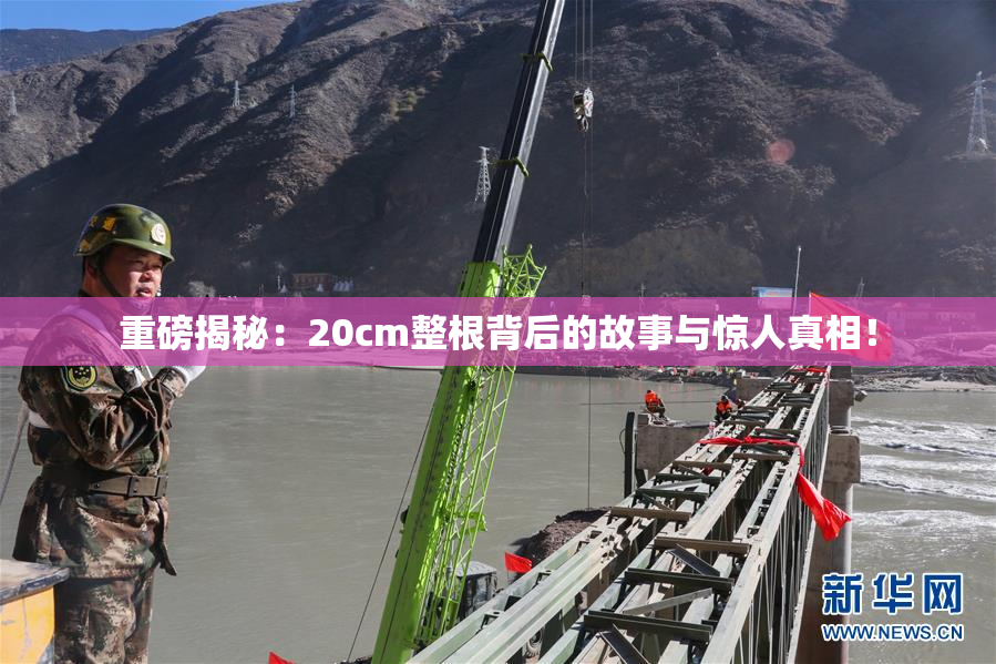 重磅揭秘：20cm整根背后的故事与惊人真相！