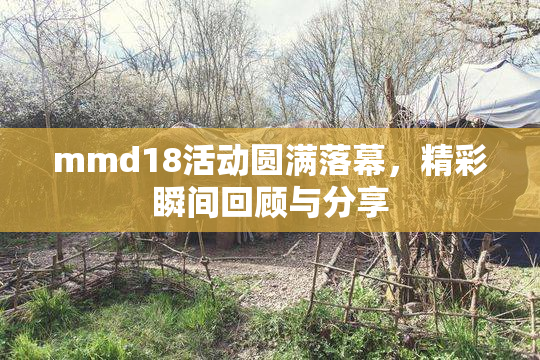 mmd18活动圆满落幕，精彩瞬间回顾与分享