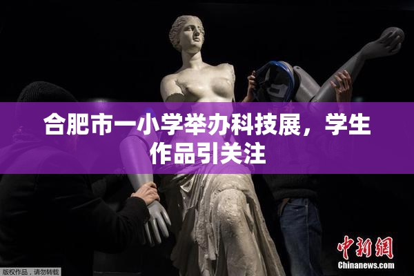 合肥市一小学举办科技展，学生作品引关注