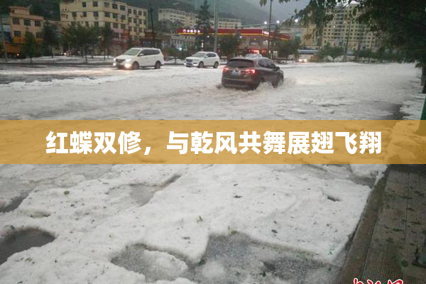 红蝶双修，与乾风共舞展翅飞翔