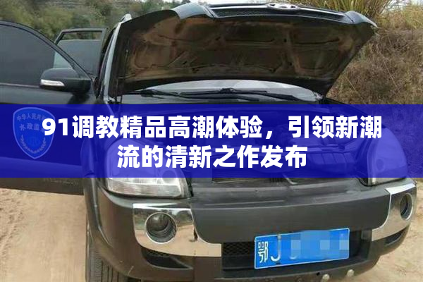 91调教精品高潮体验，引领新潮流的清新之作发布