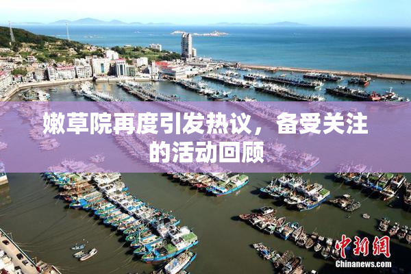 嫩草院再度引发热议，备受关注的活动回顾