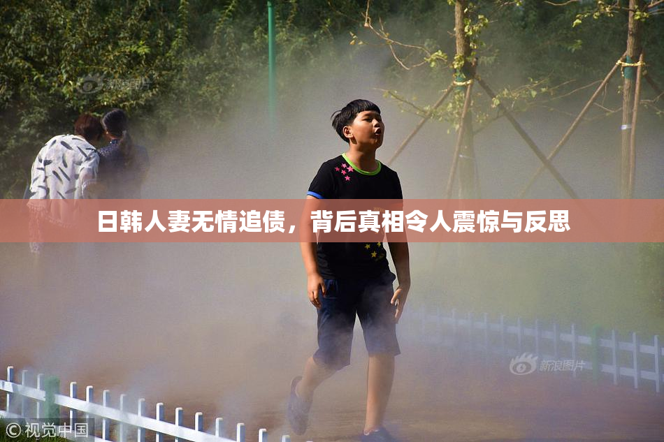 日韩人妻无情追债，背后真相令人震惊与反思