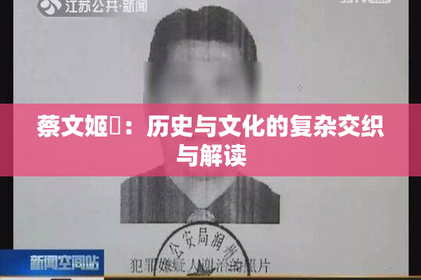 蔡文姬婬：历史与文化的复杂交织与解读