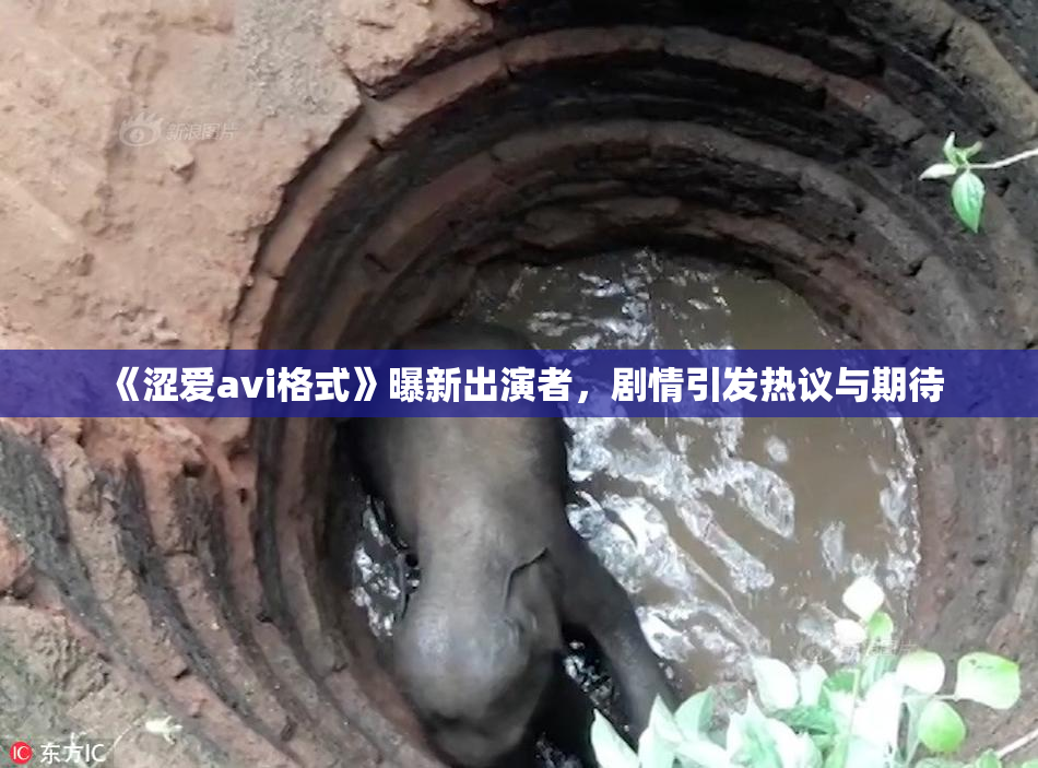 《涩爱avi格式》曝新出演者，剧情引发热议与期待
