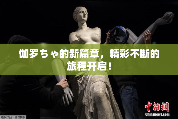 伽罗ちゃ的新篇章，精彩不断的旅程开启！