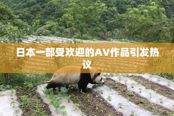 日本一部受欢迎的AV作品引发热议