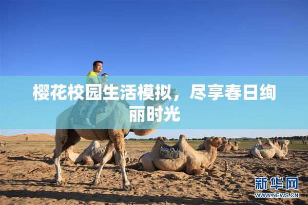樱花校园生活模拟，尽享春日绚丽时光
