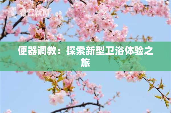 便器调教：探索新型卫浴体验之旅