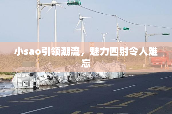 小sao引领潮流，魅力四射令人难忘