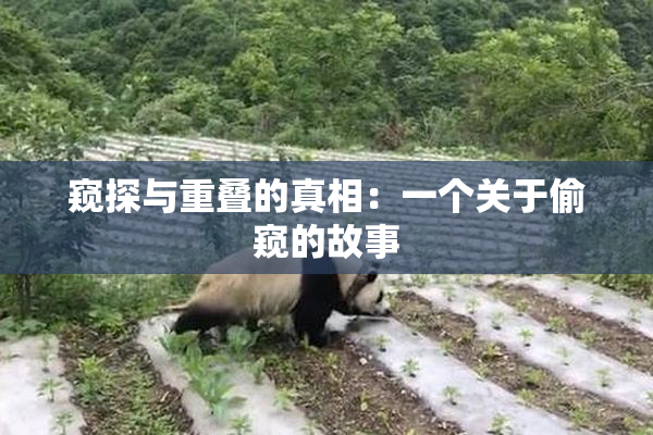 窥探与重叠的真相：一个关于偷窥的故事