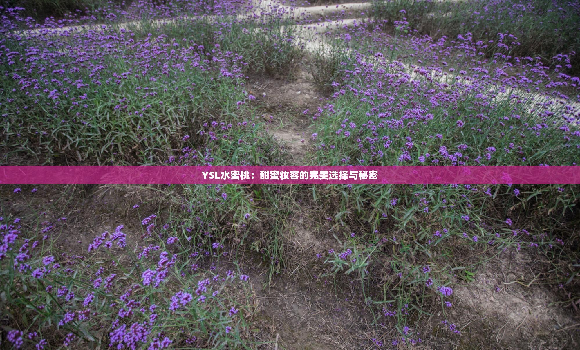 YSL水蜜桃：甜蜜妆容的完美选择与秘密