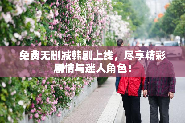 免费无删减韩剧上线，尽享精彩剧情与迷人角色！