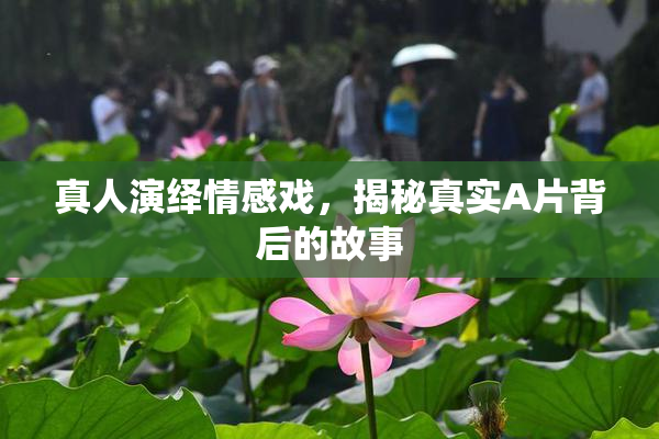 真人演绎情感戏，揭秘真实A片背后的故事