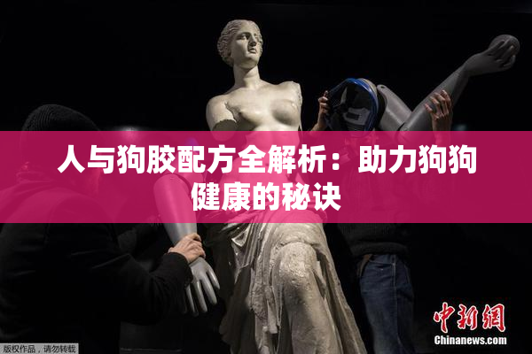 人与狗胶配方全解析：助力狗狗健康的秘诀