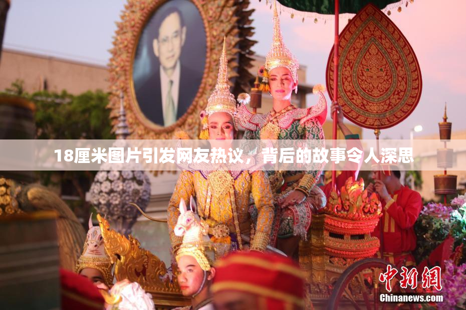 18厘米图片引发网友热议，背后的故事令人深思