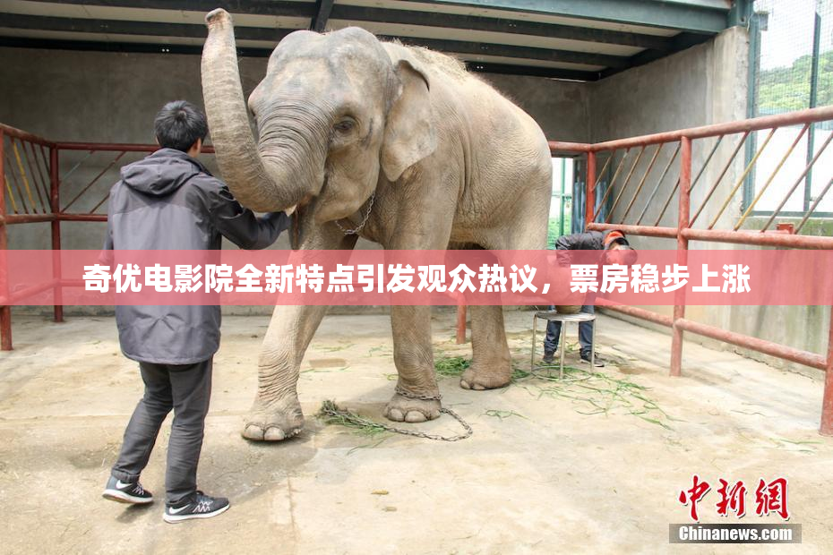 奇优电影院全新特点引发观众热议，票房稳步上涨