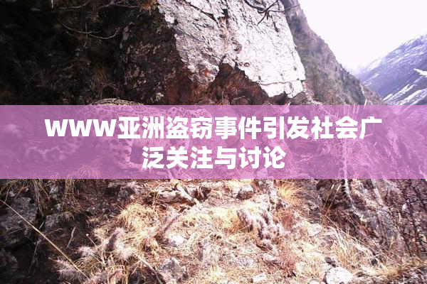 WWW亚洲盗窃事件引发社会广泛关注与讨论