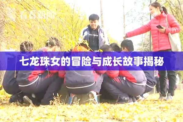 七龙珠女的冒险与成长故事揭秘