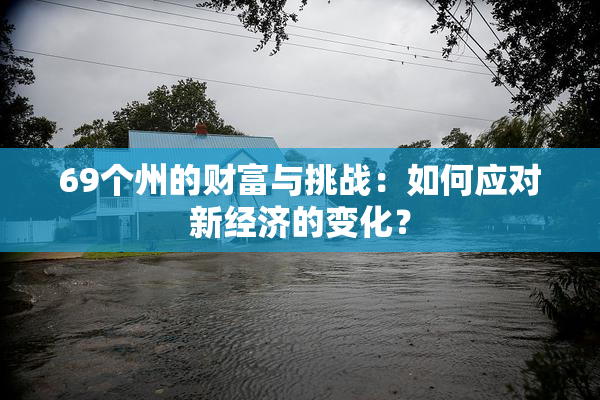 69个州的财富与挑战：如何应对新经济的变化？