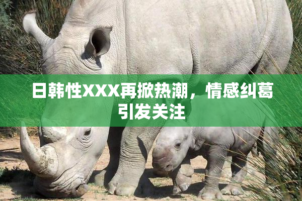 日韩性XXX再掀热潮，情感纠葛引发关注