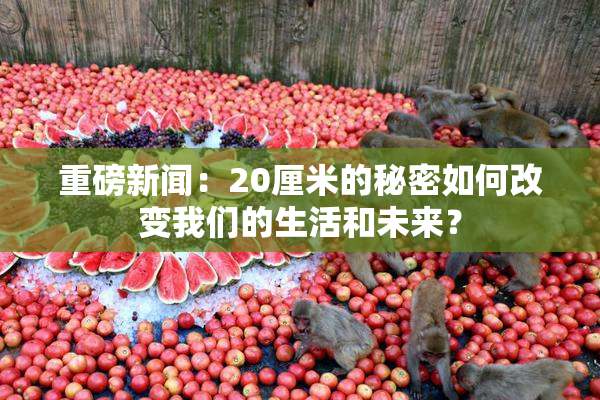 重磅新闻：20厘米的秘密如何改变我们的生活和未来？