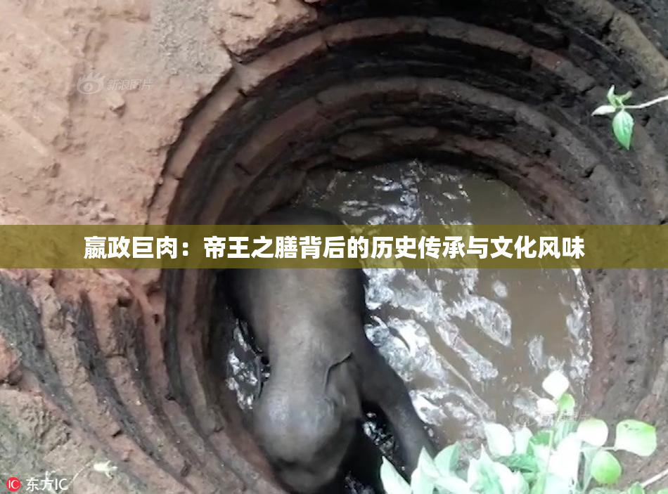 嬴政巨肉：帝王之膳背后的历史传承与文化风味