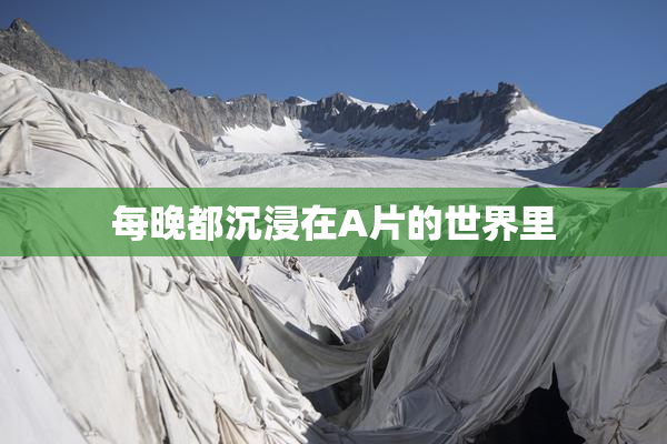 每晚都沉浸在A片的世界里