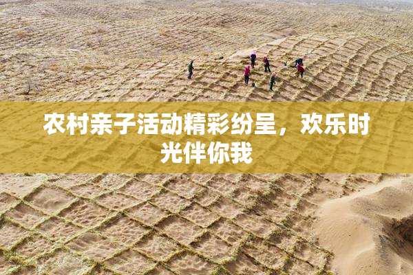 农村亲子活动精彩纷呈，欢乐时光伴你我