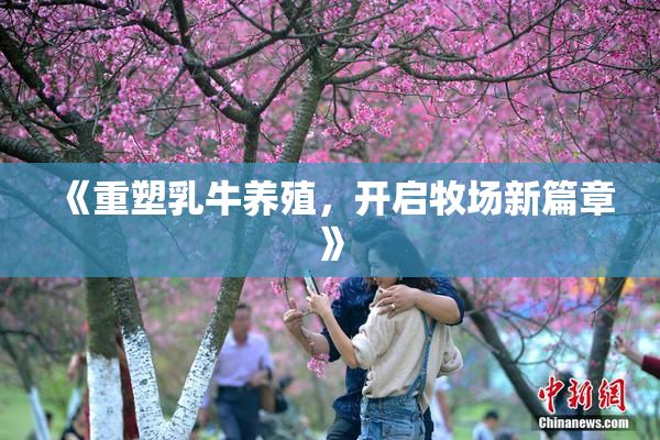 《重塑乳牛养殖，开启牧场新篇章》
