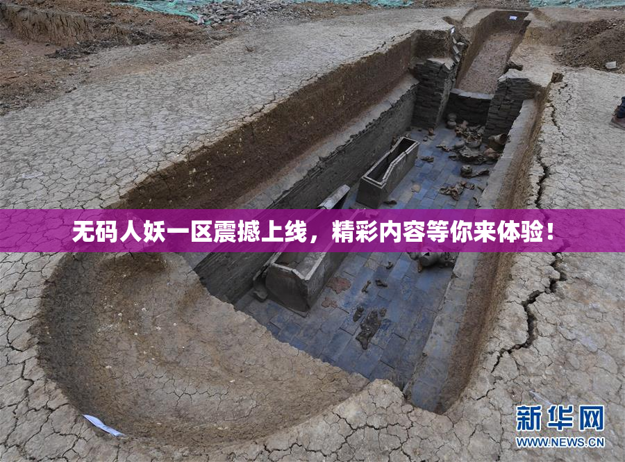 无码人妖一区震撼上线，精彩内容等你来体验！