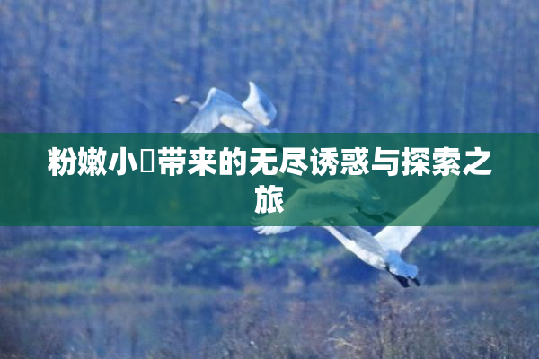 粉嫩小泬带来的无尽诱惑与探索之旅