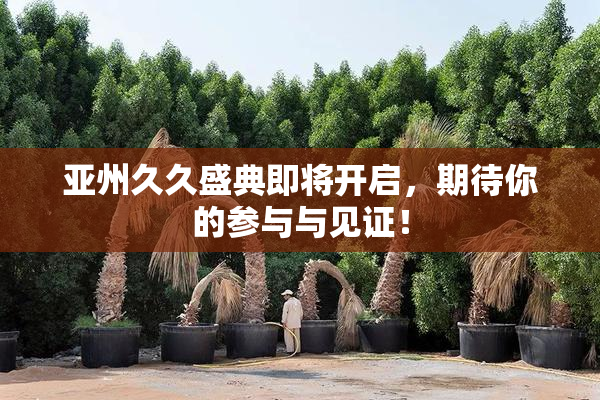 亚州久久盛典即将开启，期待你的参与与见证！