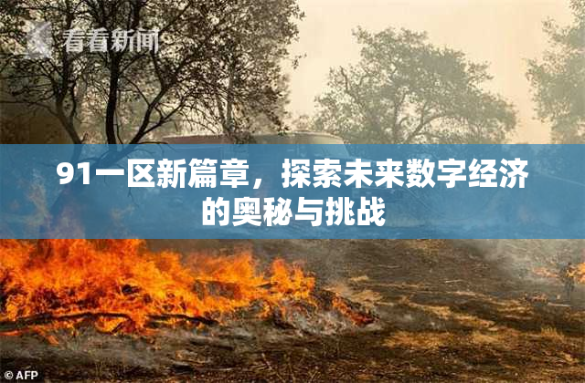 91一区新篇章，探索未来数字经济的奥秘与挑战