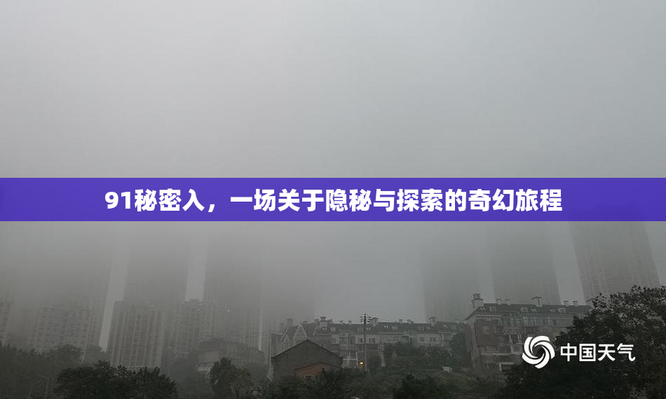 91秘密入，一场关于隐秘与探索的奇幻旅程