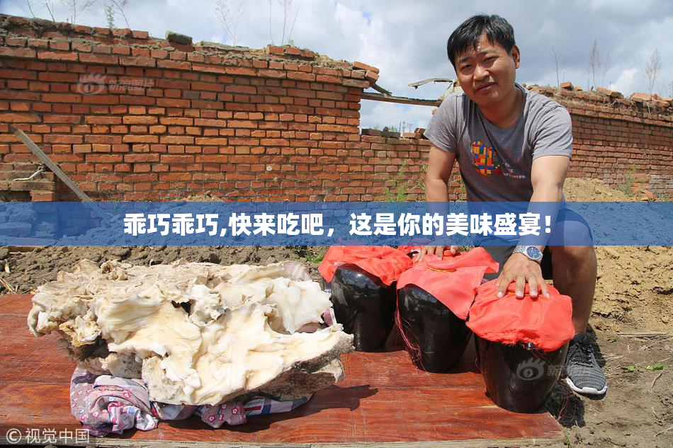 乖巧乖巧,快来吃吧，这是你的美味盛宴！