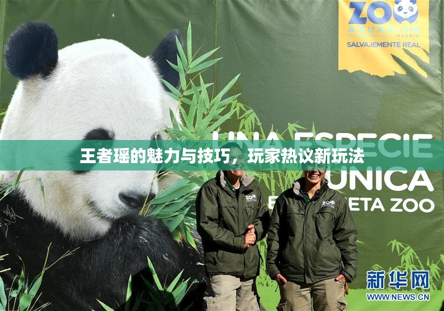 王者瑶的魅力与技巧，玩家热议新玩法