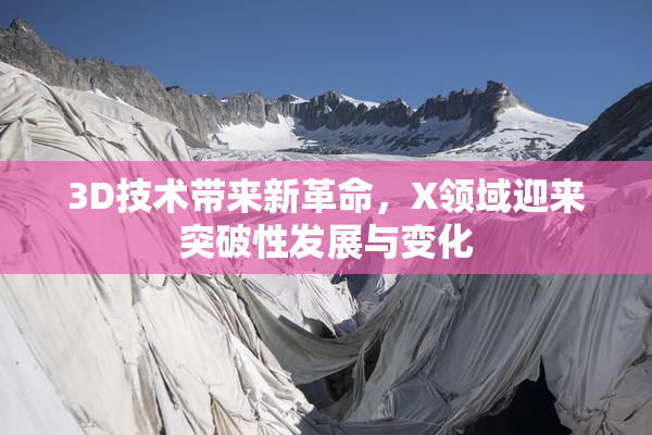 3D技术带来新革命，X领域迎来突破性发展与变化