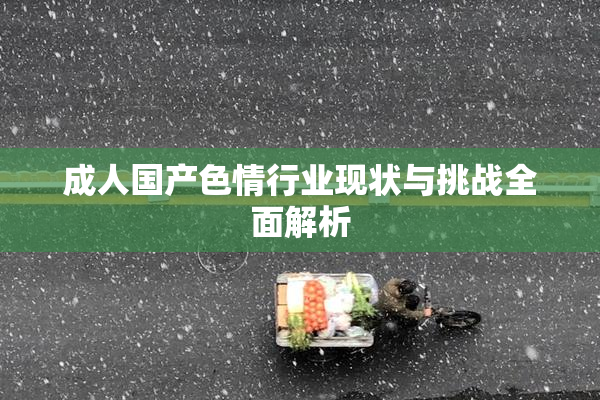 成人国产色情行业现状与挑战全面解析
