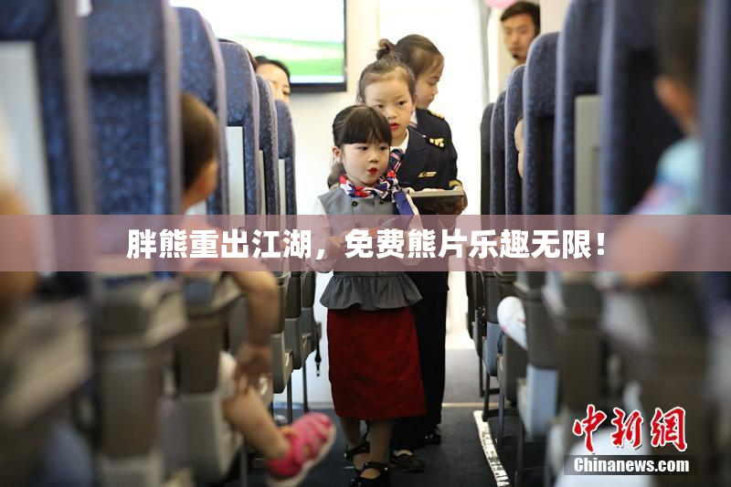 胖熊重出江湖，免费熊片乐趣无限！
