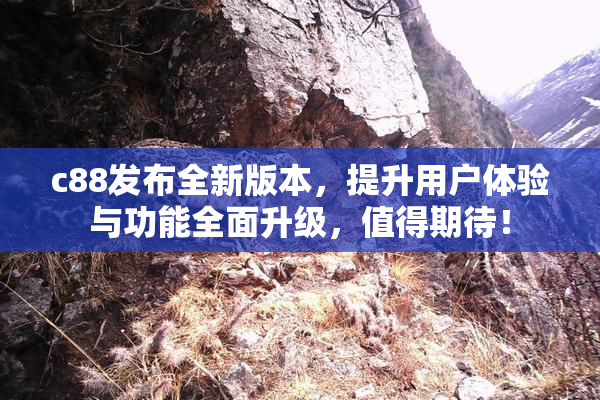 c88发布全新版本，提升用户体验与功能全面升级，值得期待！