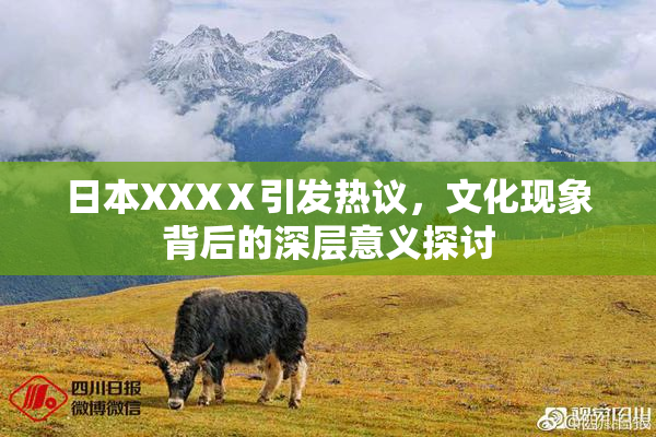 日本XXXⅩ引发热议，文化现象背后的深层意义探讨