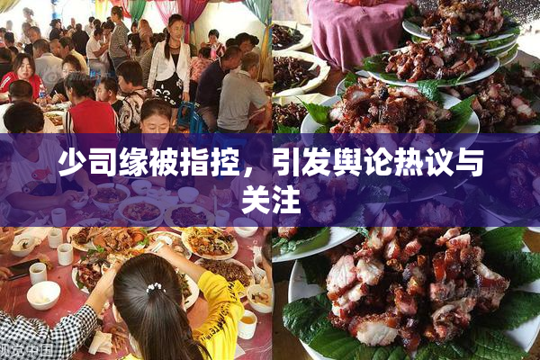 少司缘被指控，引发舆论热议与关注