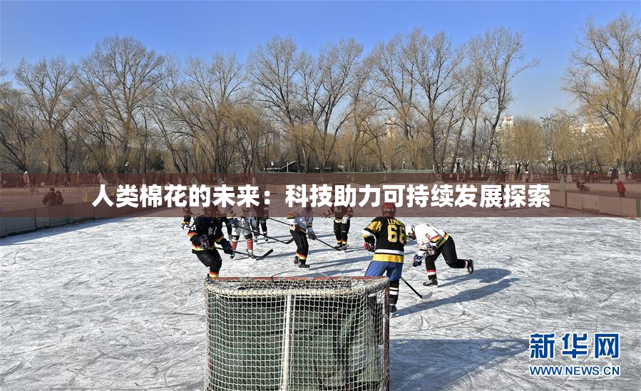 人类棉花的未来：科技助力可持续发展探索